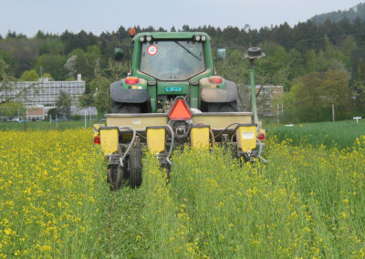 Bodenbewirtschaftung und Bodenfruchtbarkeit